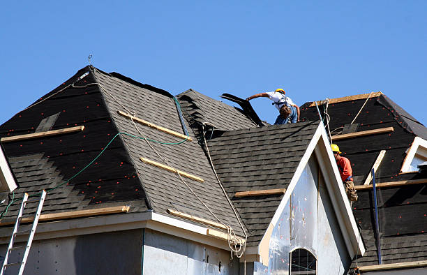 Best Green or Eco-Friendly Roofing Solutions  in Lemmon, SD